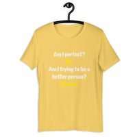 Load image into Gallery viewer, Am I Perfect? No. Am I Trying To Be A Better Person? Also No T-Shirt - SHOPNOO
